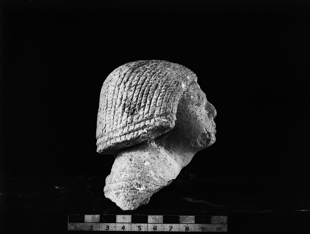statue_head2.jpeg