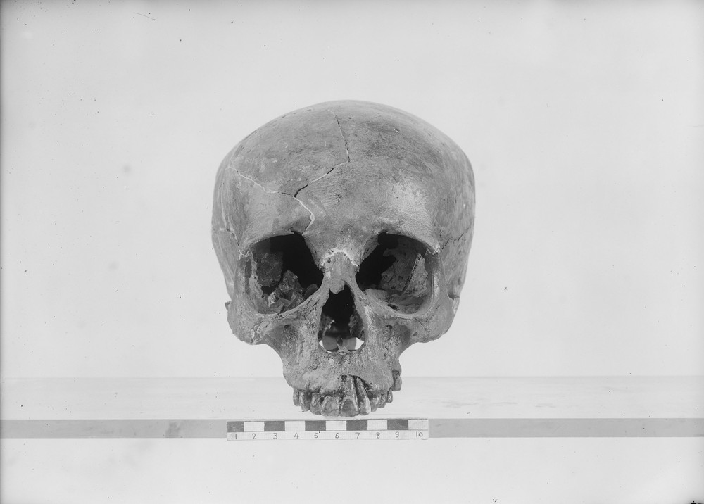 skull-of-queen-meresankh-iii.jpeg